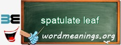 WordMeaning blackboard for spatulate leaf